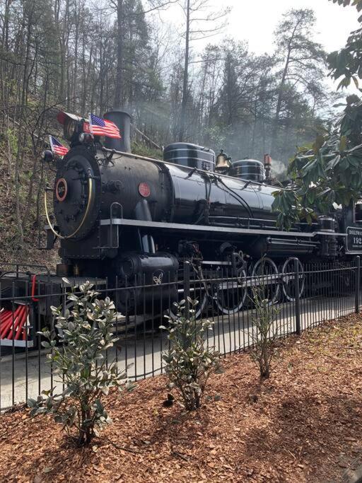 סביירוויל 1 Mi To Dollywood Mins To All Attractions & Gsmnp מראה חיצוני תמונה